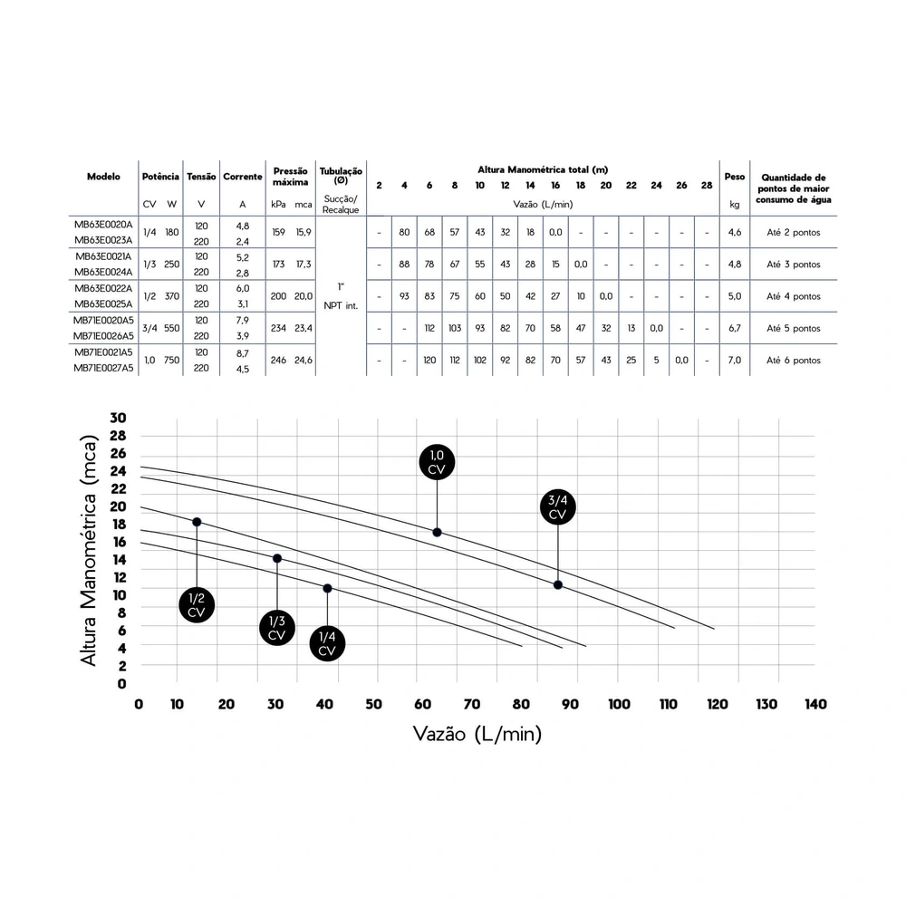 Pré-visualização 4 de Bomba Pressurizadora 1/2Cv 220 Flux Int - Syllent